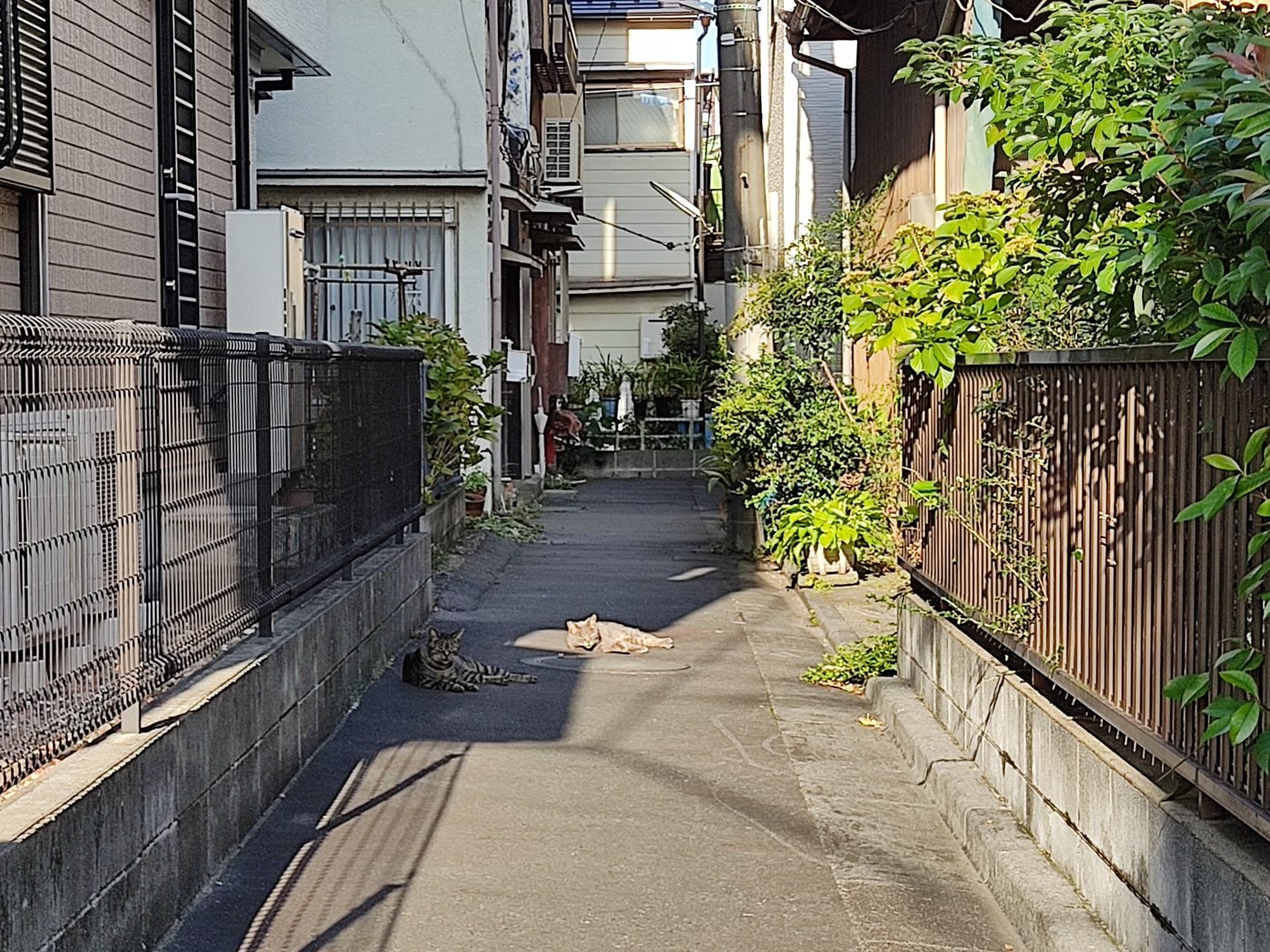 住宅の間を抜ける細い路地