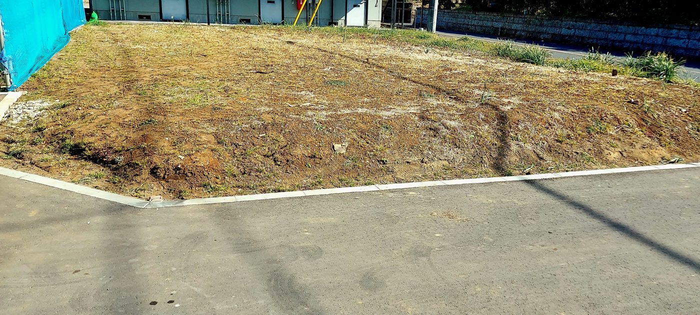 道路に面した草地の空き地